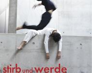 Flyer_stirb_und_werde